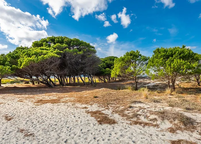 Selema By Interhome Casa vacanze Santa Lucia (Sardinia)