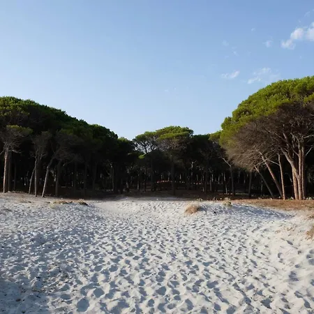 Selema By Interhome Holiday home