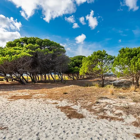 Selema By Interhome Holiday home Santa Lucia (Sardinia)