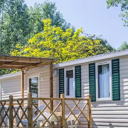 Selema By Interhome